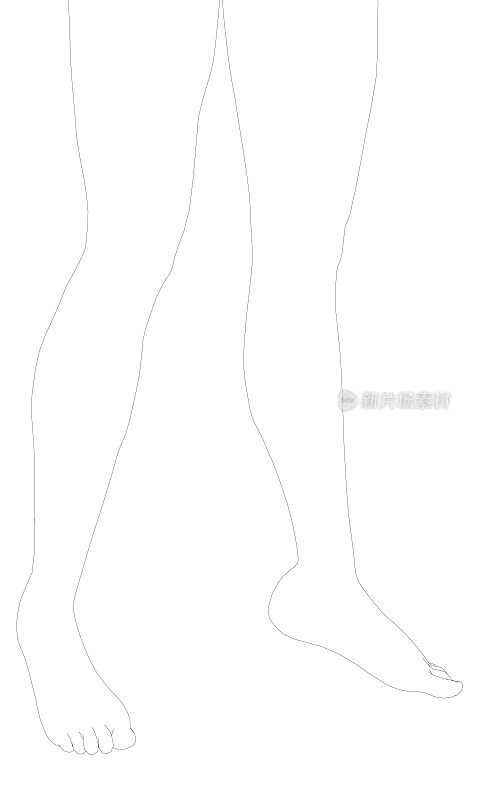 女孩双腿的轮廓孤立在白色背景上。3 d。矢量图